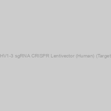 Image of IGHV1-3 sgRNA CRISPR Lentivector (Human) (Target 3)